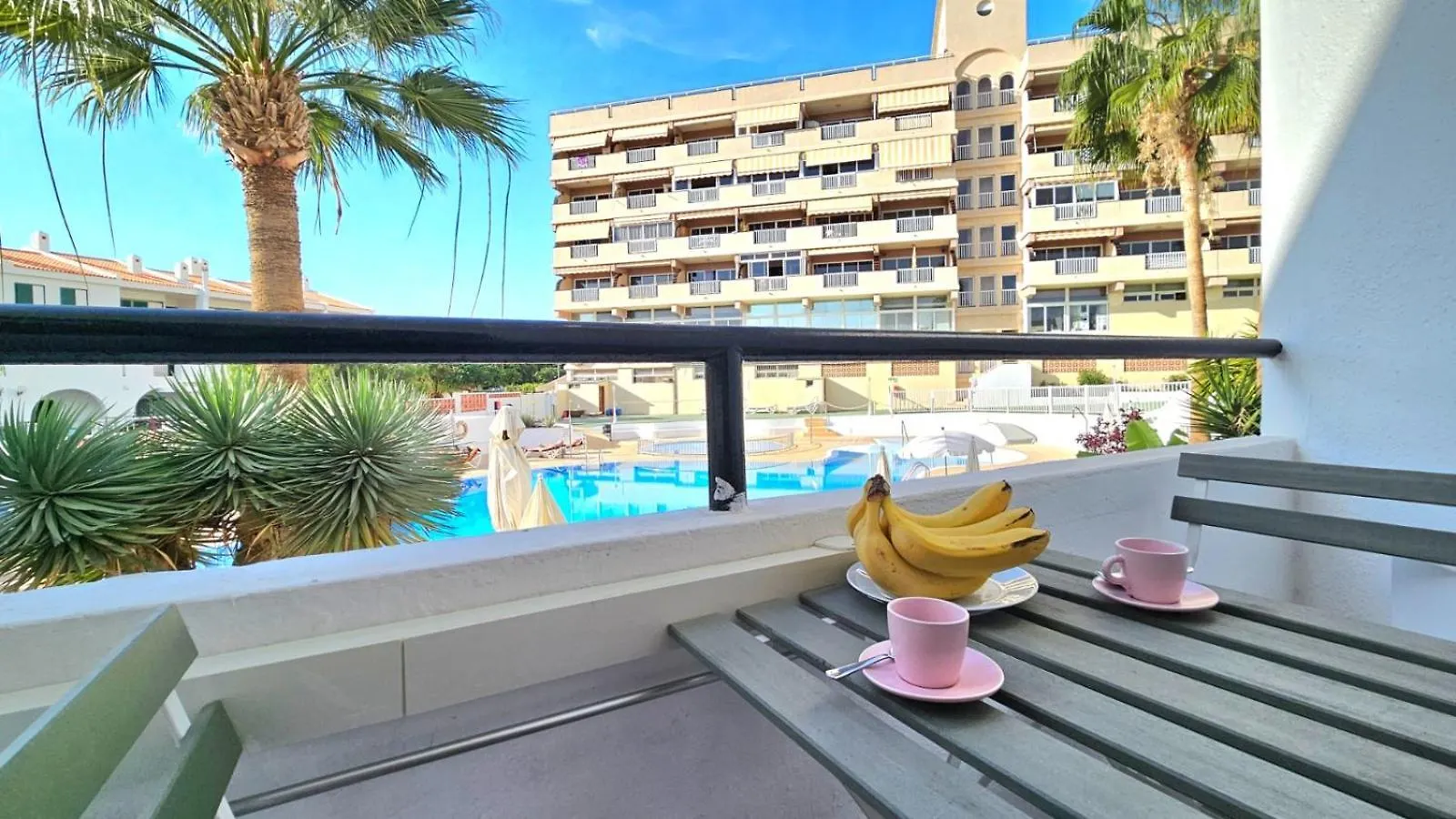 Aguaviva Apartment contacts
